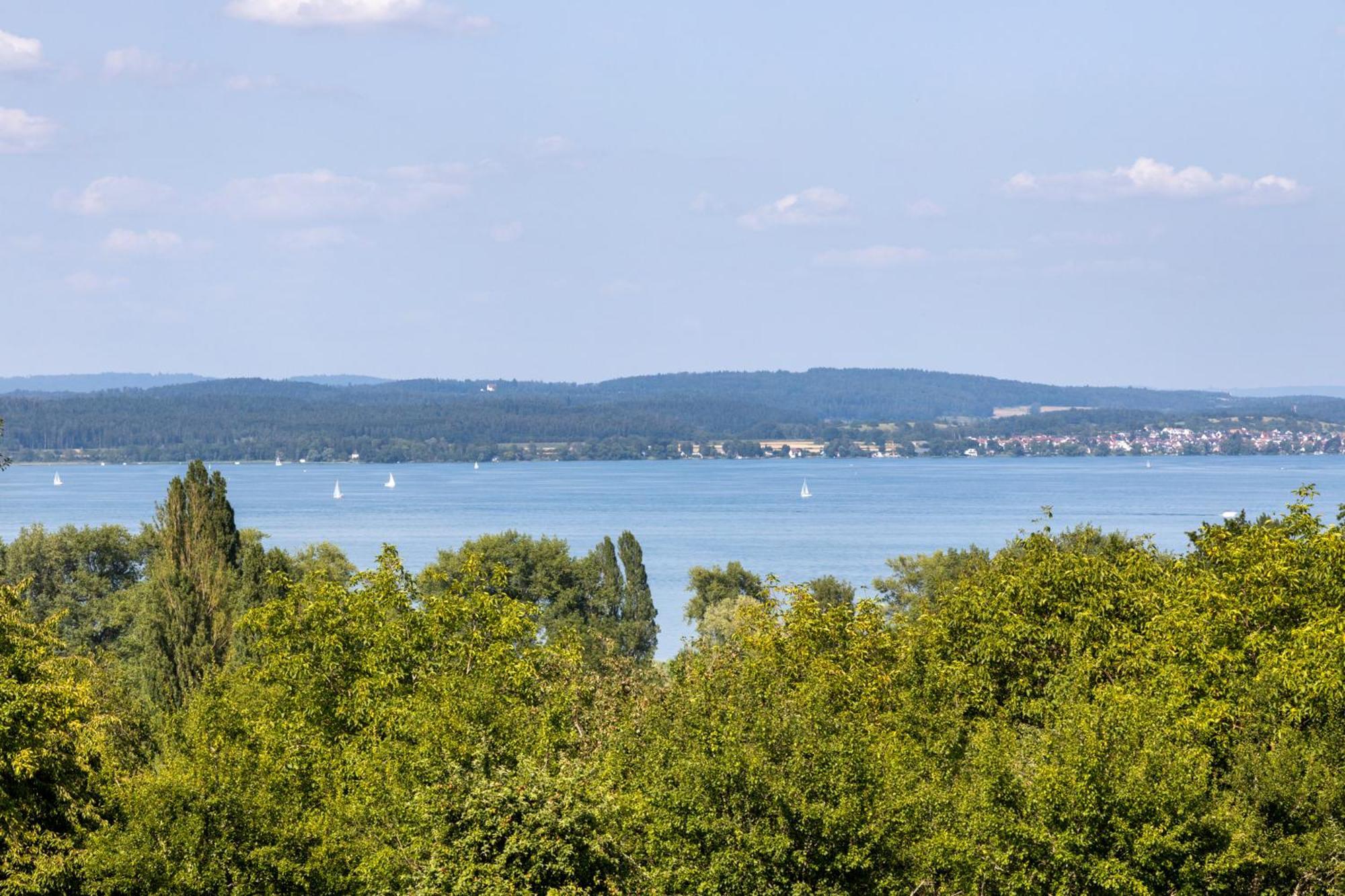 Markelfingen Apartment *