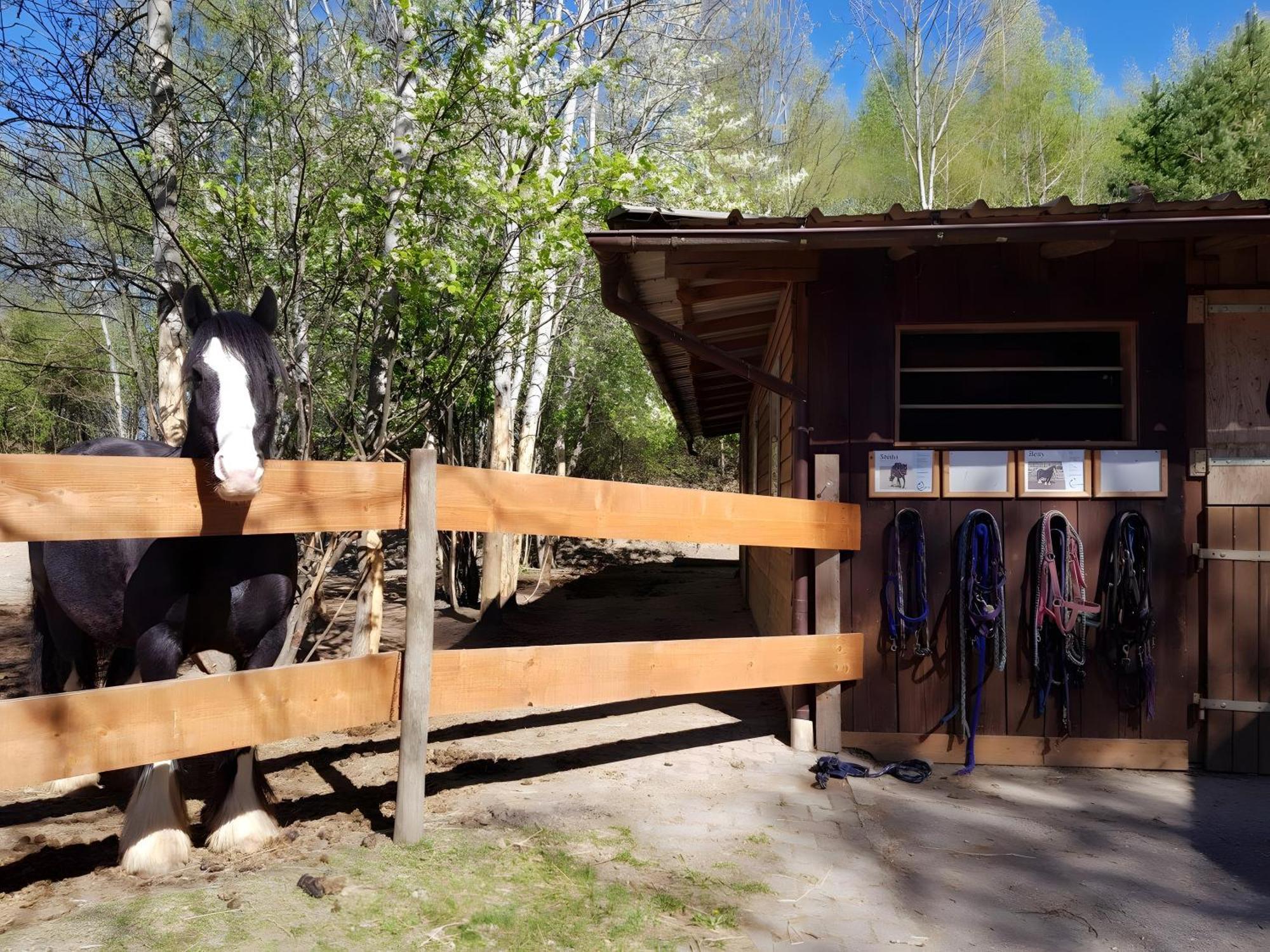 Apartment Urlaub Auf Der Aspen Ranch