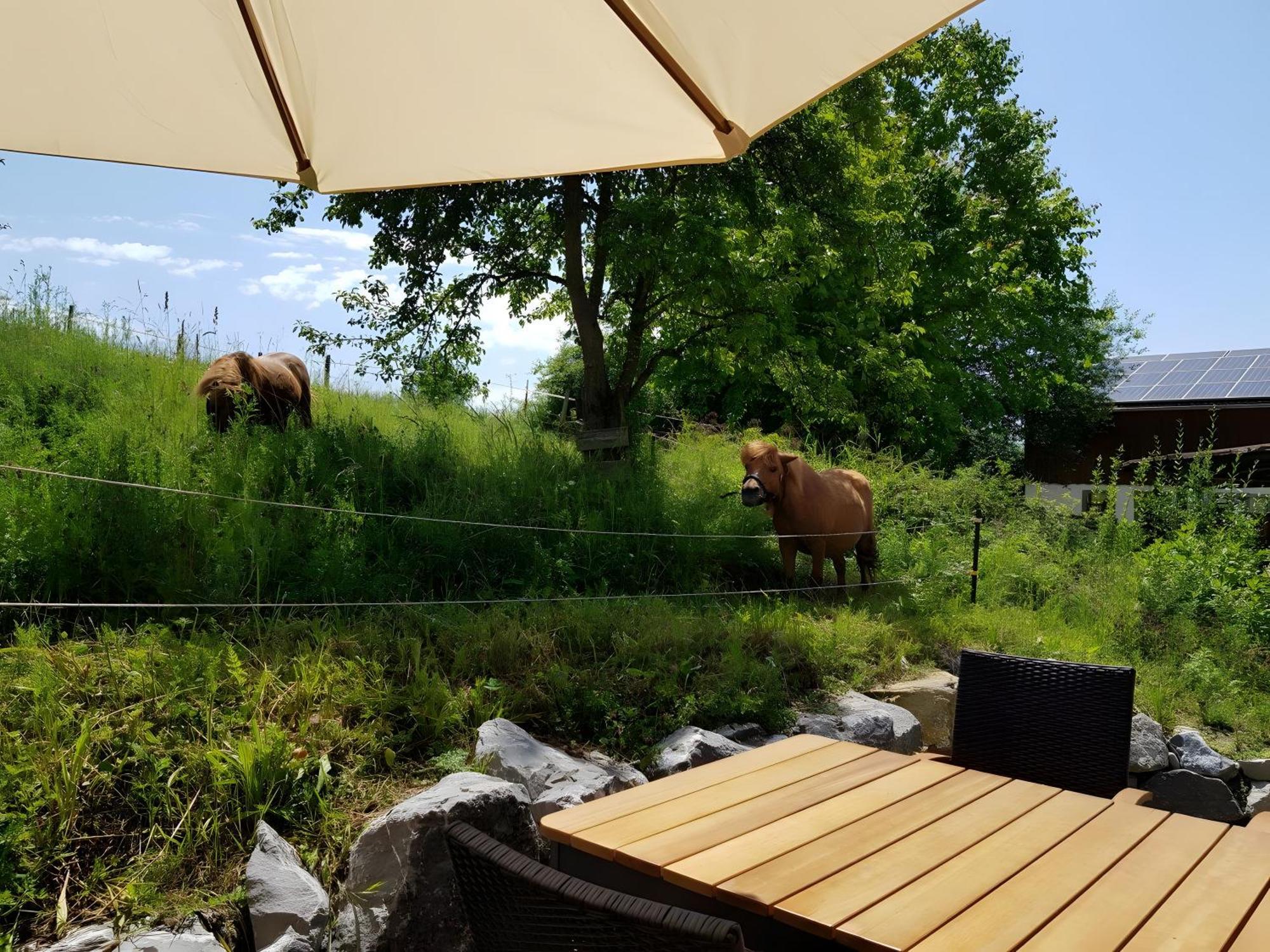Apartment Urlaub Auf Der Aspen Ranch *