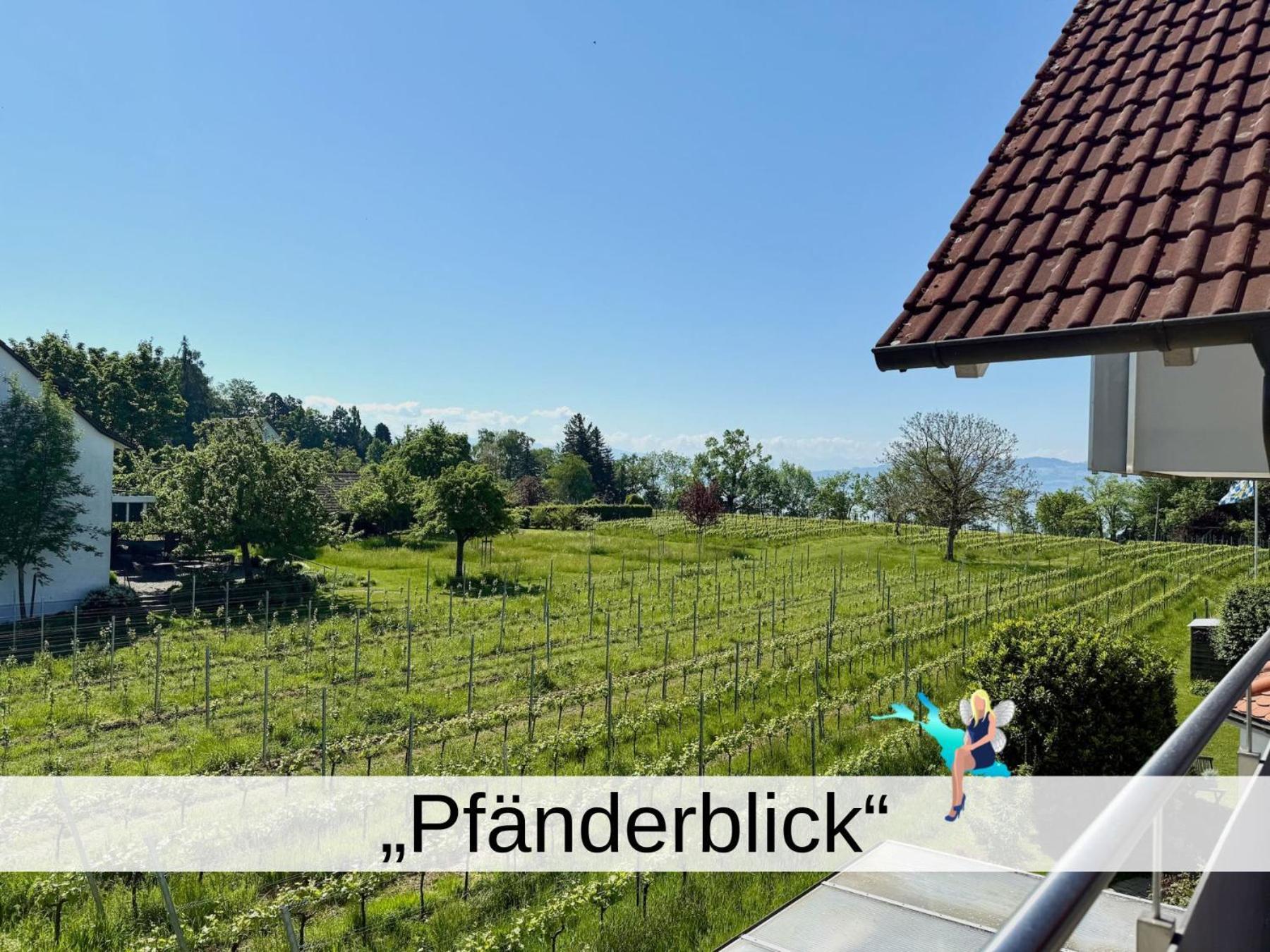 Dani Pfaenderblick * Nonnenhorn