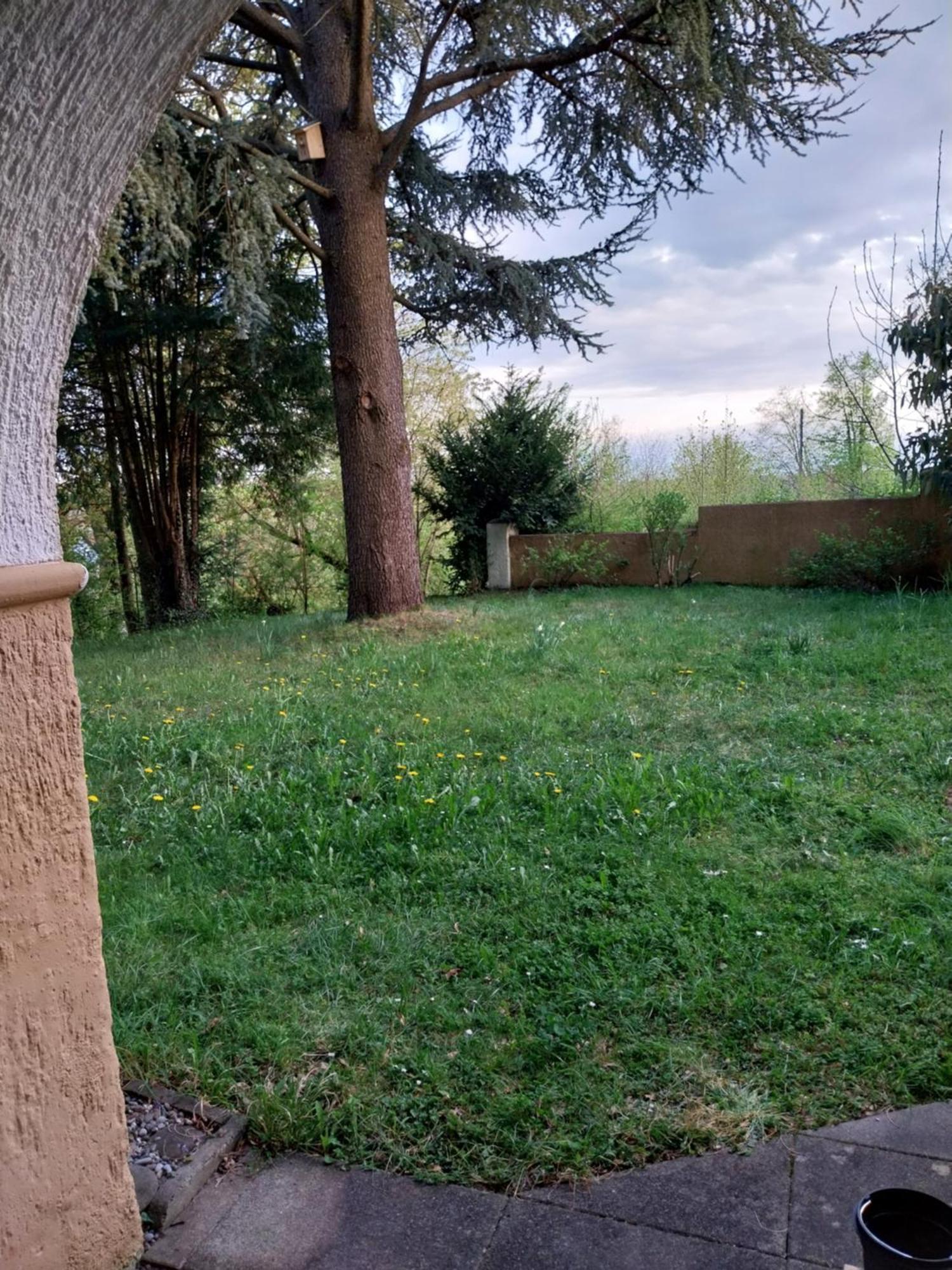 Mit Garten Ab 3 Naechte * Tettnang