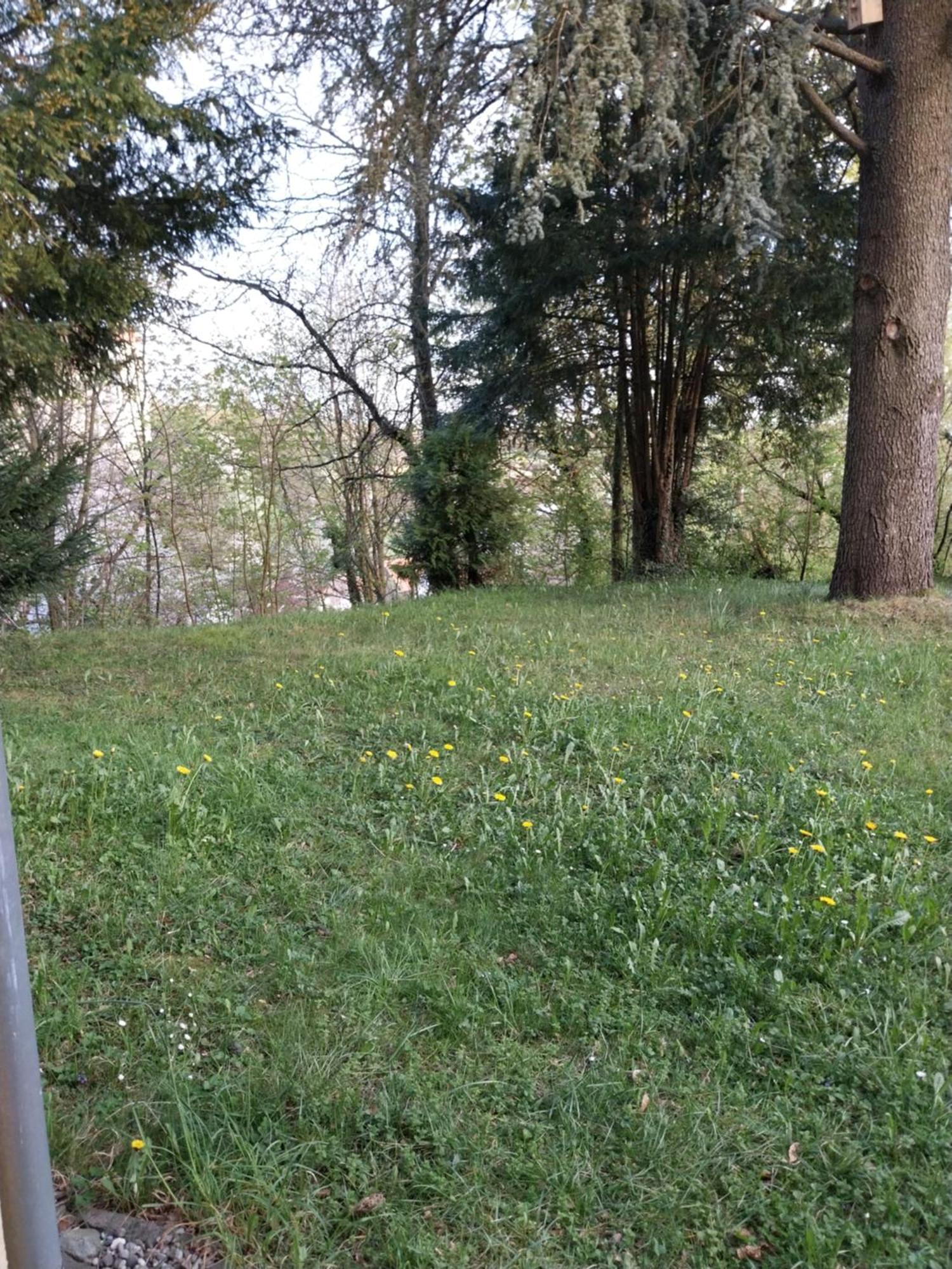 Apartment Mit Garten Ab 3 Naechte