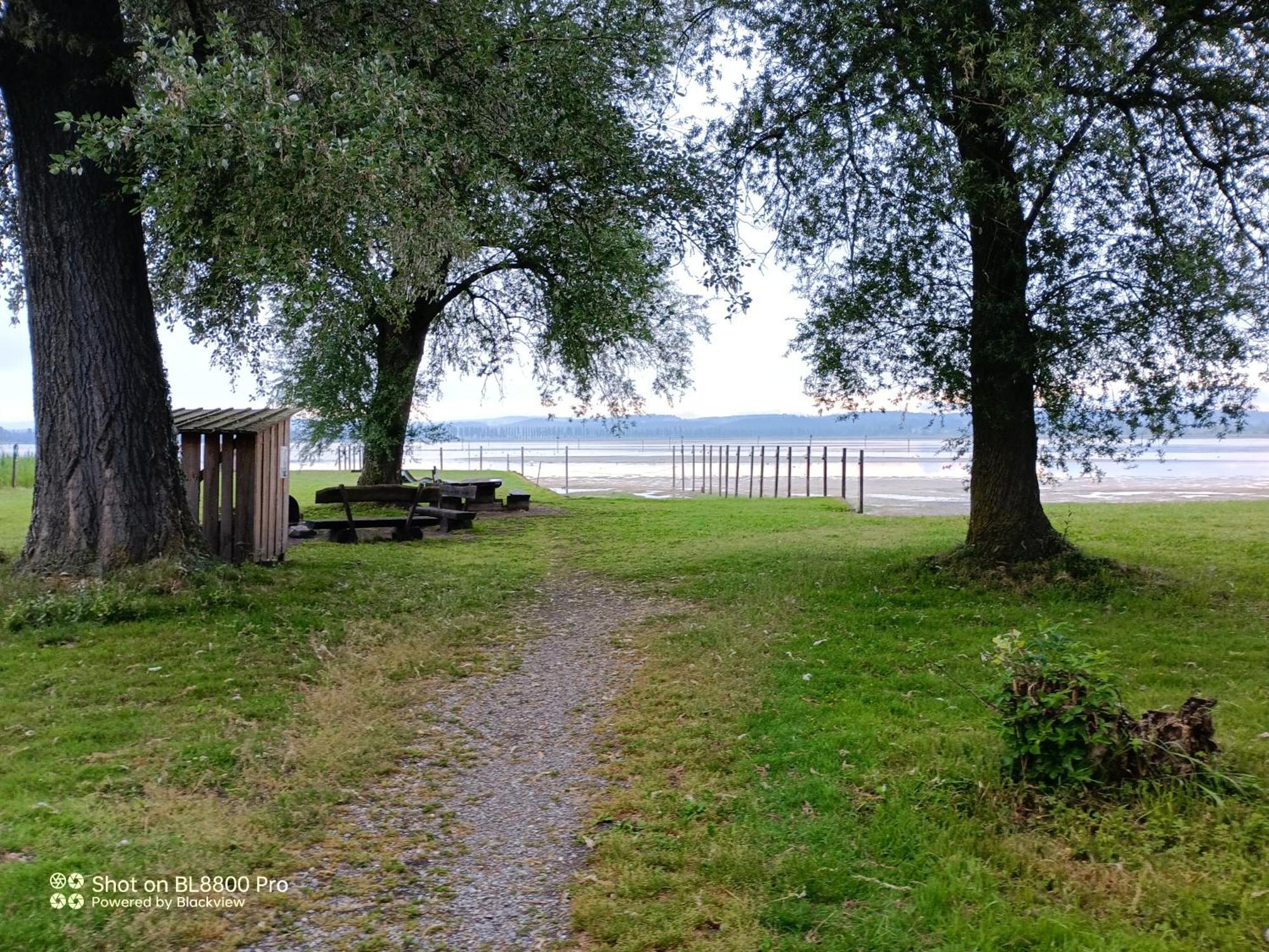 Tengs * Taegerwilen