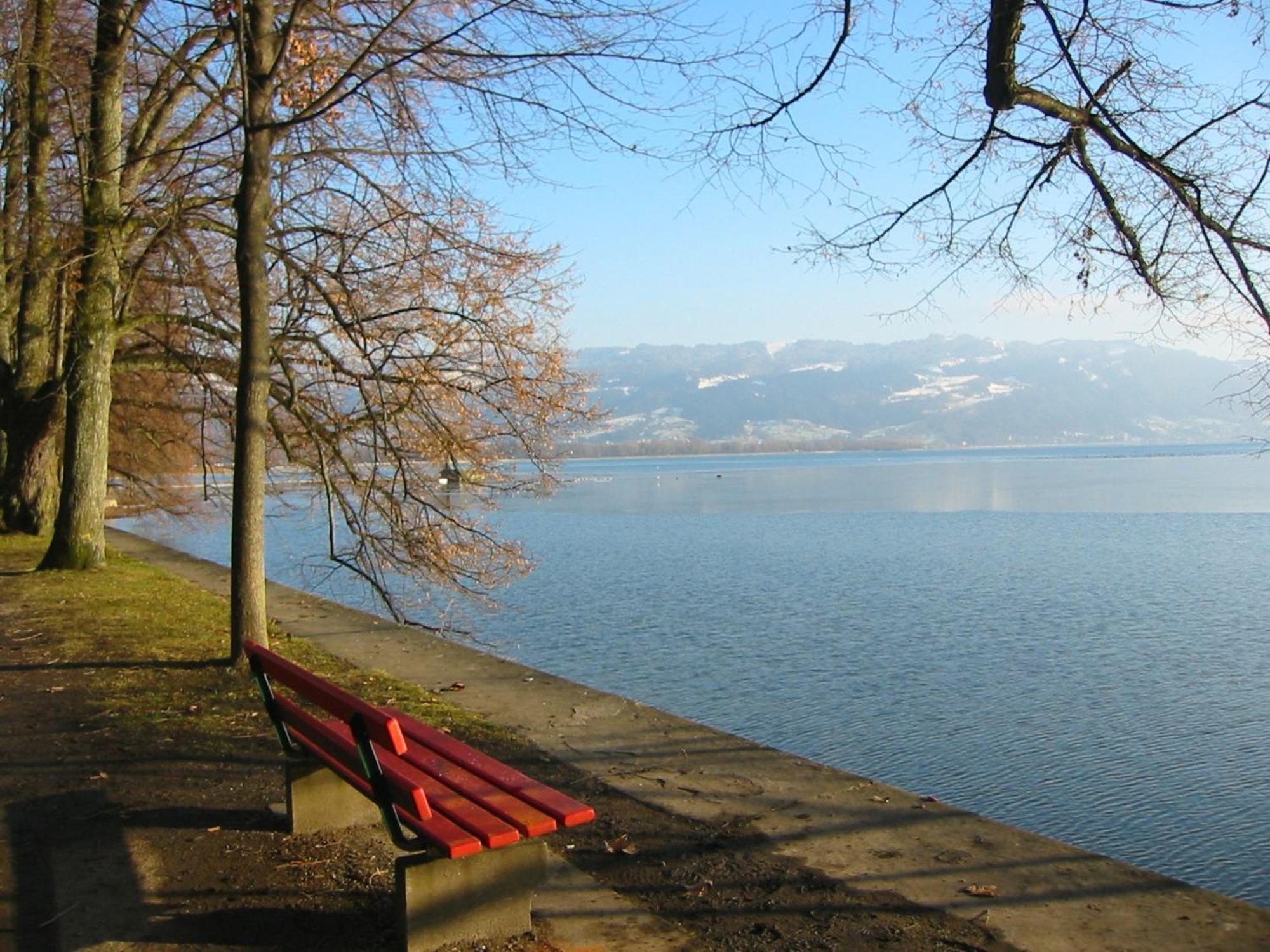 Damkröger * Lindau (Bodensee)