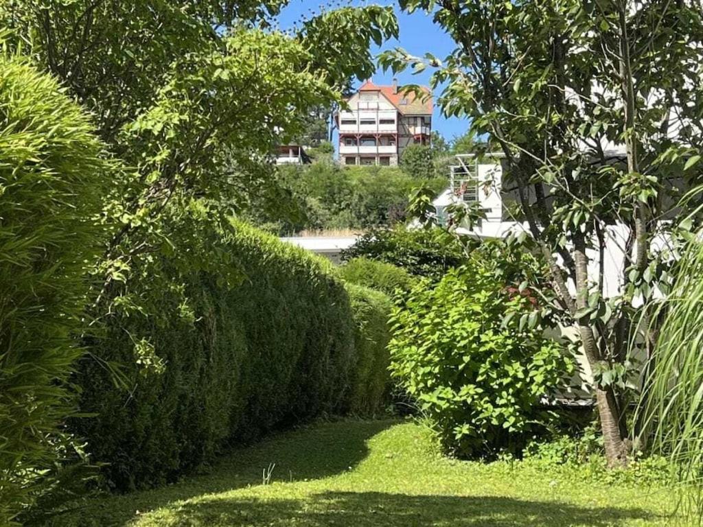 The Ii Villa