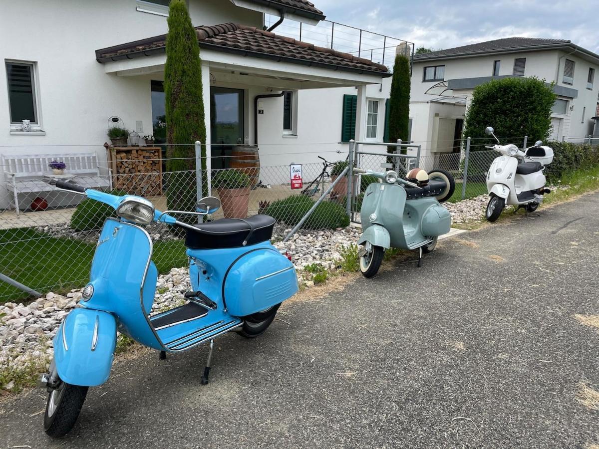 2,5 Einliegerwohnung In 3 Minuten Zum Bodensee