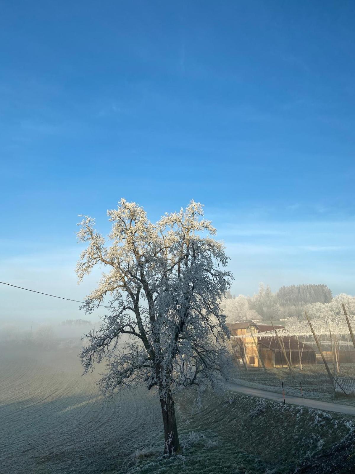 Hopfenblick Dachterasse 3sz Bodenseeregion Tettnang