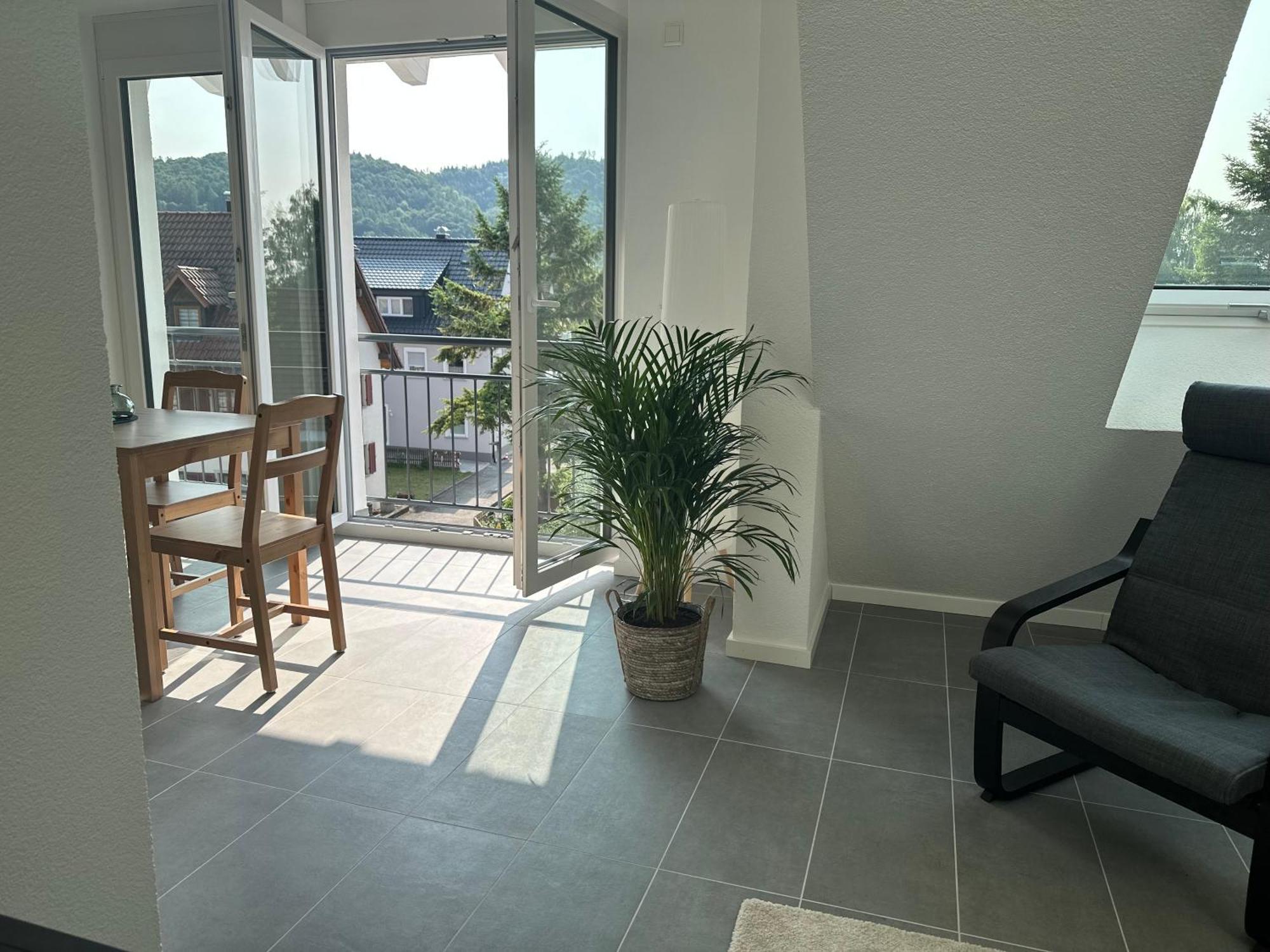 Apartment Seescheune 150m Vom Ufer Entfernt Bodman-Ludwigshafen