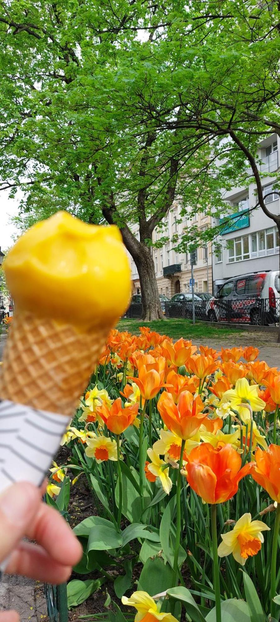 Sonnengarten *