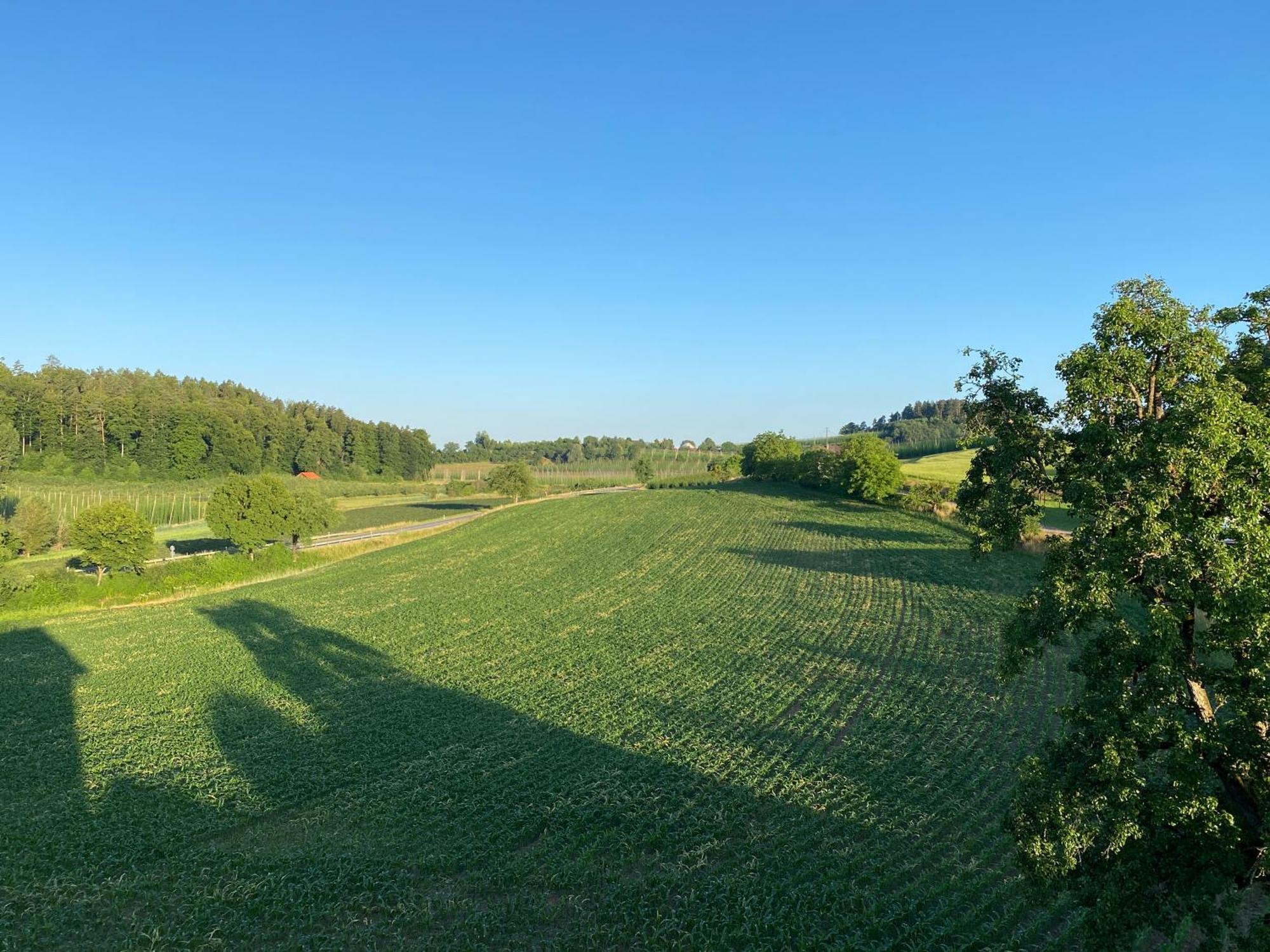 Hopfenblick Dachterasse 3sz Bodenseeregion Tettnang