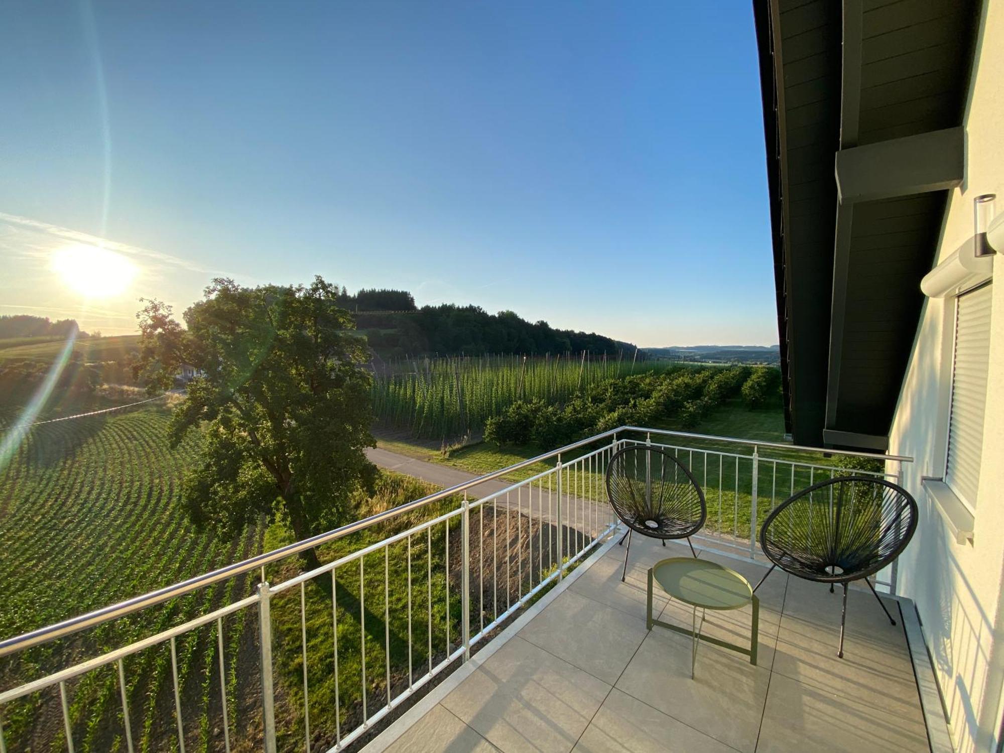 Apartment Hopfenblick Dachterasse 3sz Bodenseeregion Tettnang