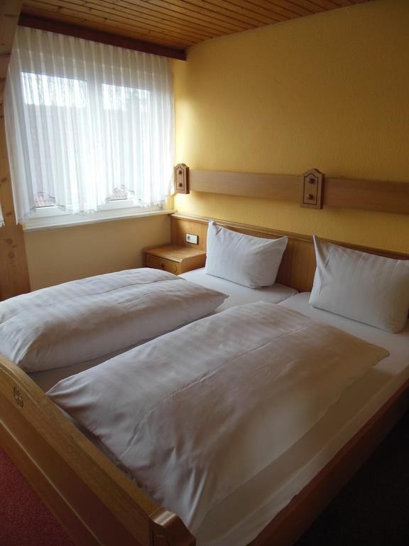 Gruener Baum Inn 2*