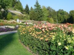Zum Lieben Augustin Am See 4* Wasserburg am Bodensee