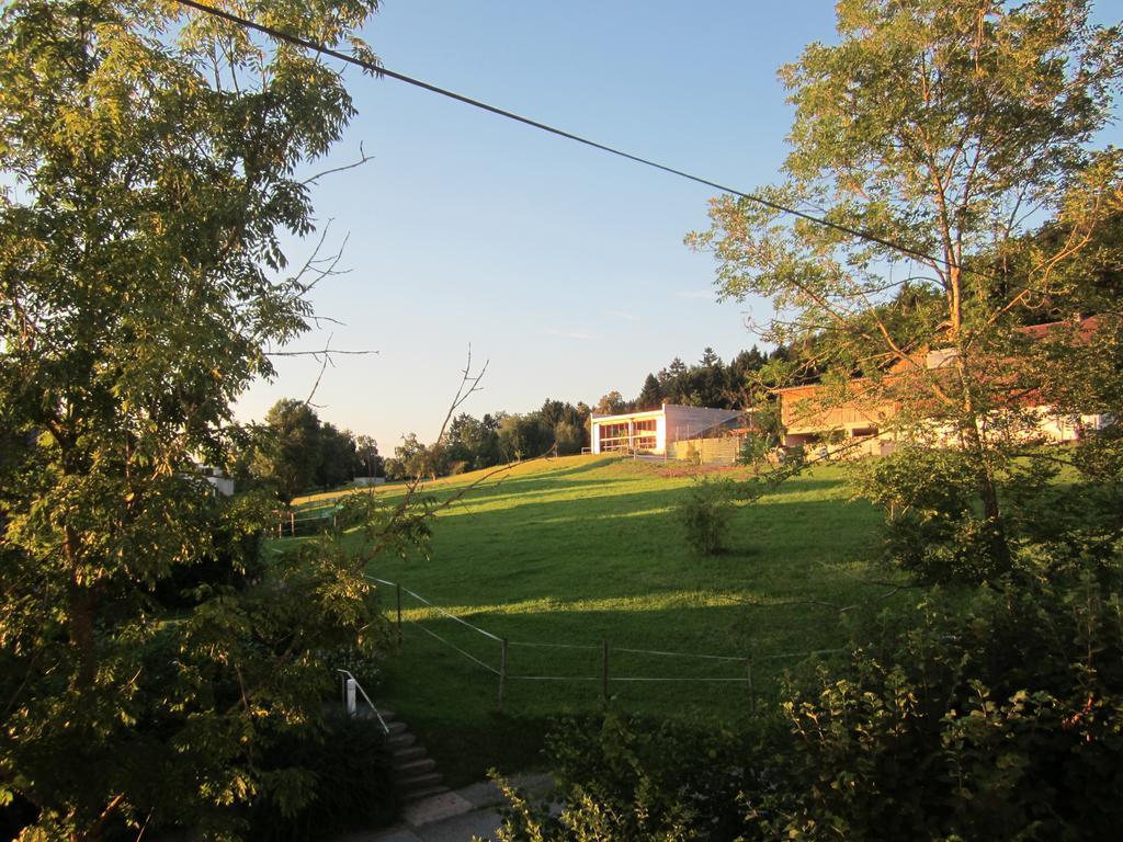 Sandra Apartment