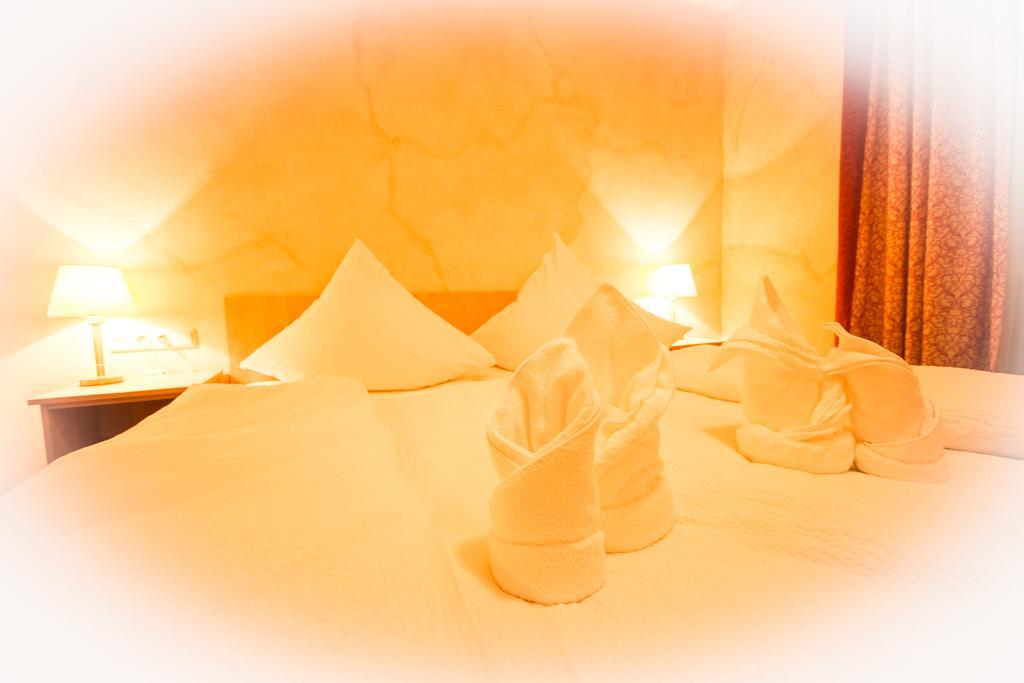 Hotel Hotel-restaurant Alpha Friedrichshafen