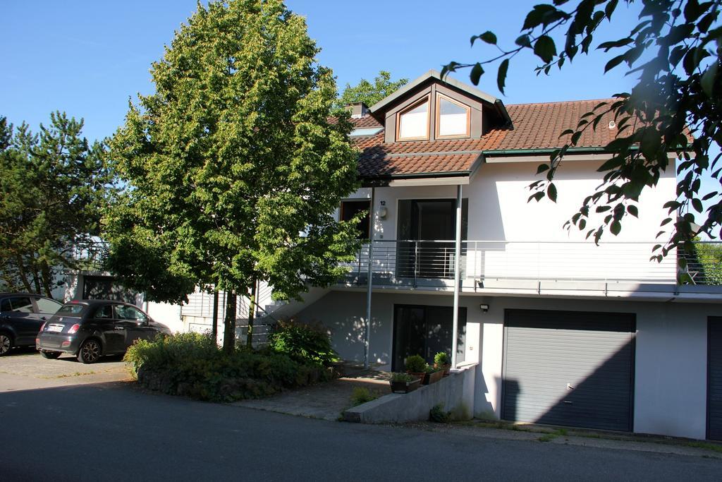 Bluetenweg Kluftern *