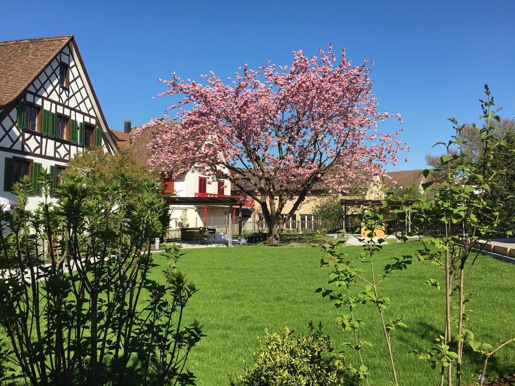 Hotel Bodensee Berlingen