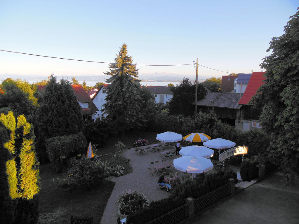 Gruener Baum Stetten (Bodensee)