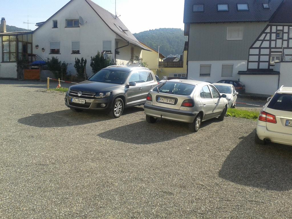 Traube, Ludwigshafen, Bodensee, Seenah Gelegen