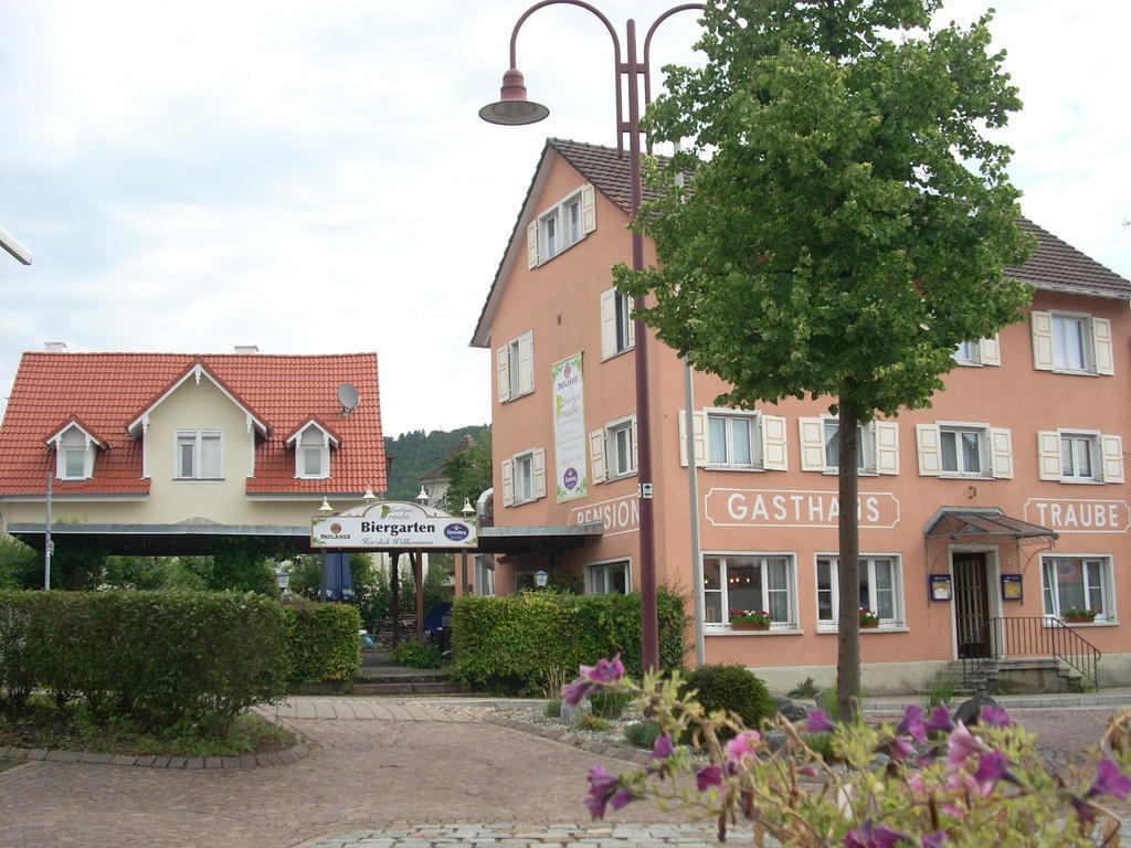Traube, Ludwigshafen, Bodensee, Seenah Gelegen Bodman-Ludwigshafen