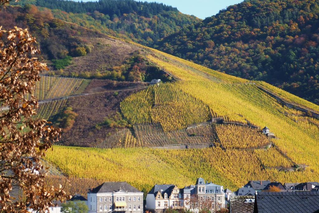 Apartment Schendels Bernkastel-Kues