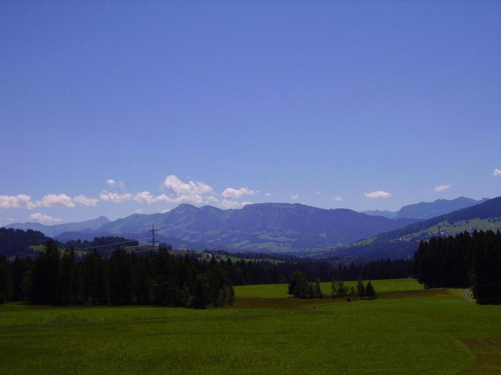Lerch *