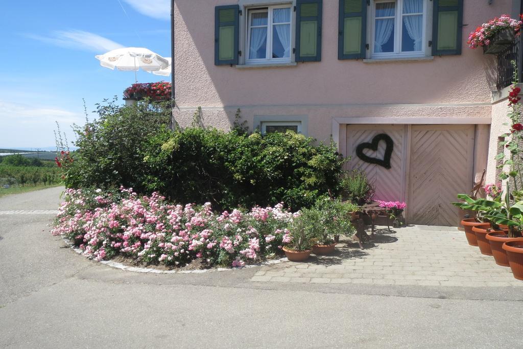 Gaestehaus Frohe Aussicht * Kressbronn am Bodensee
