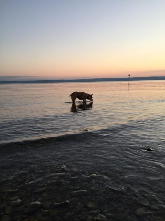 Strandhaus Hagnau