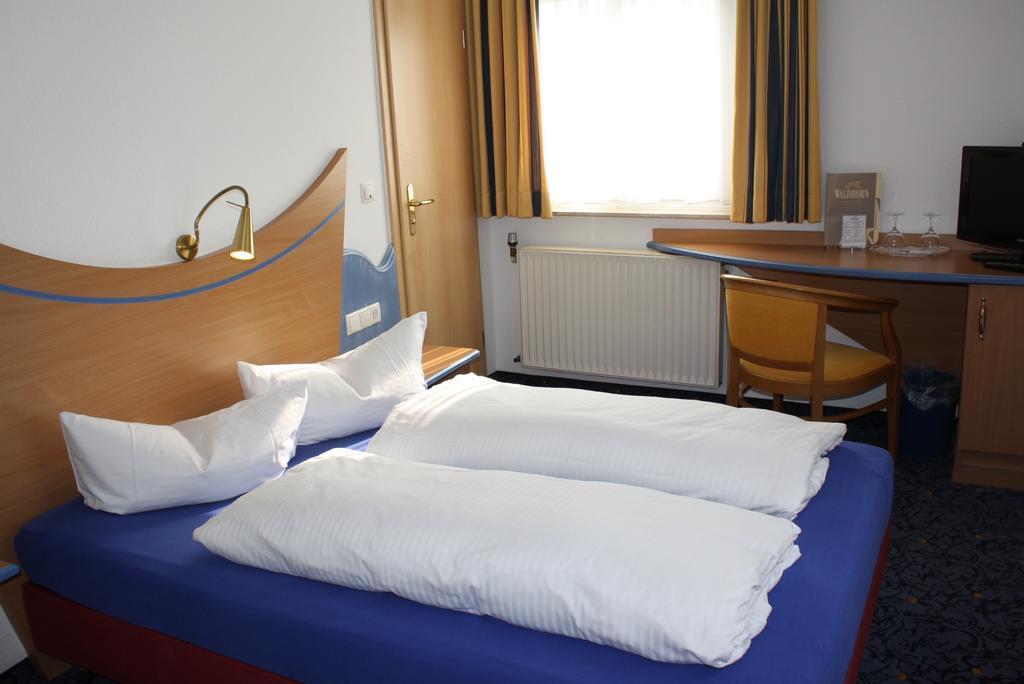 Waldhorn Hotel 3*