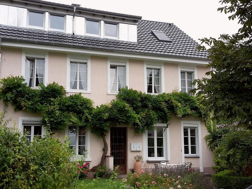 Unterm Blauregen Wangen (Ohningen)