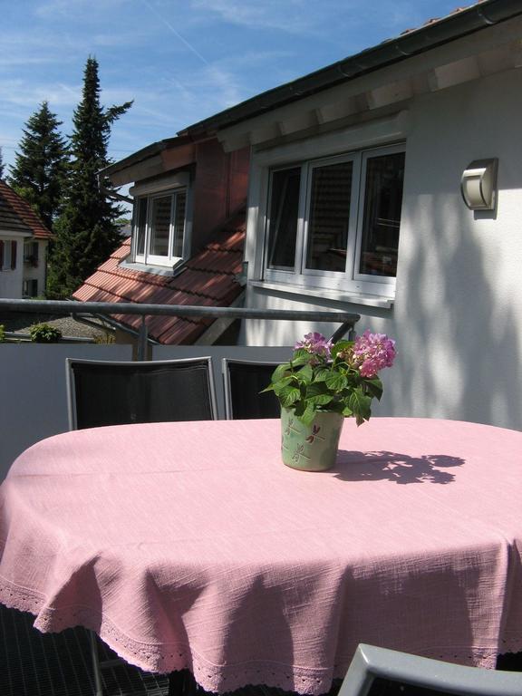 Haus-eiche