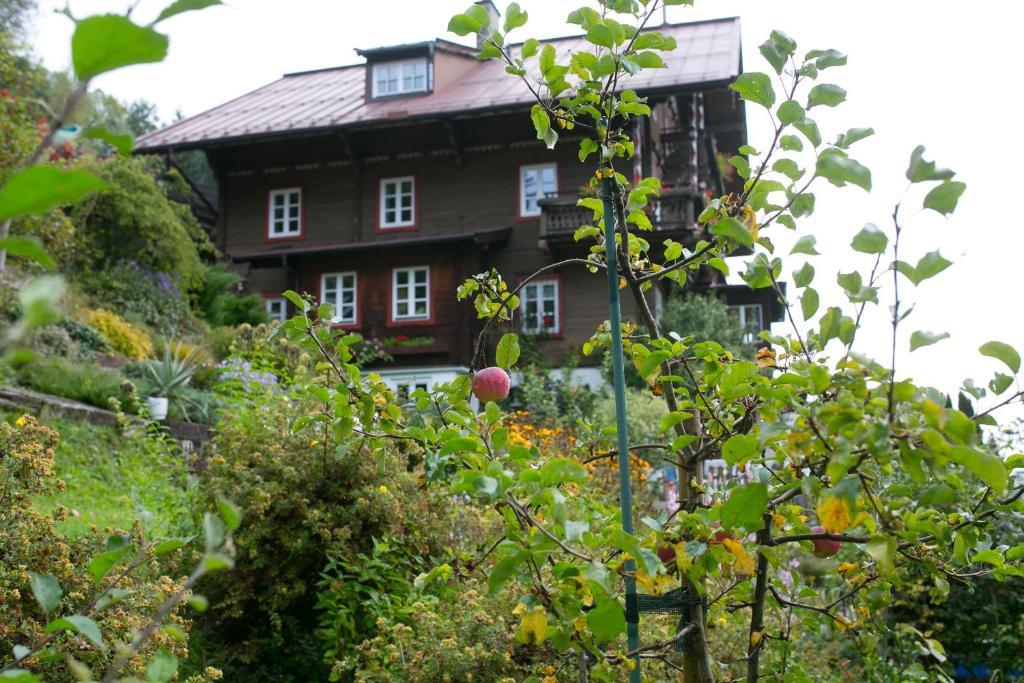 Gasthof Landhaus Alpina 3*