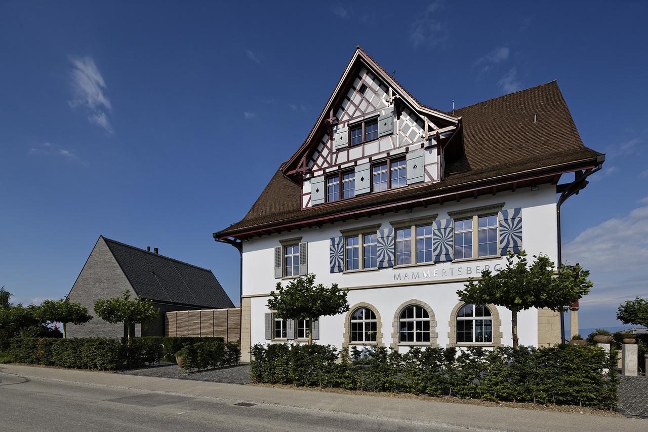 Hotel Mammertsberg Roggwil (Arbon)