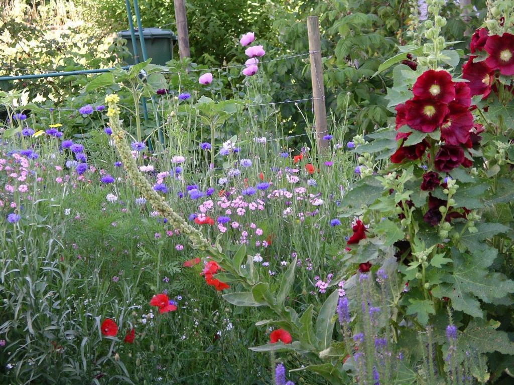 Bed & Breakfast Im Musli Uttwil