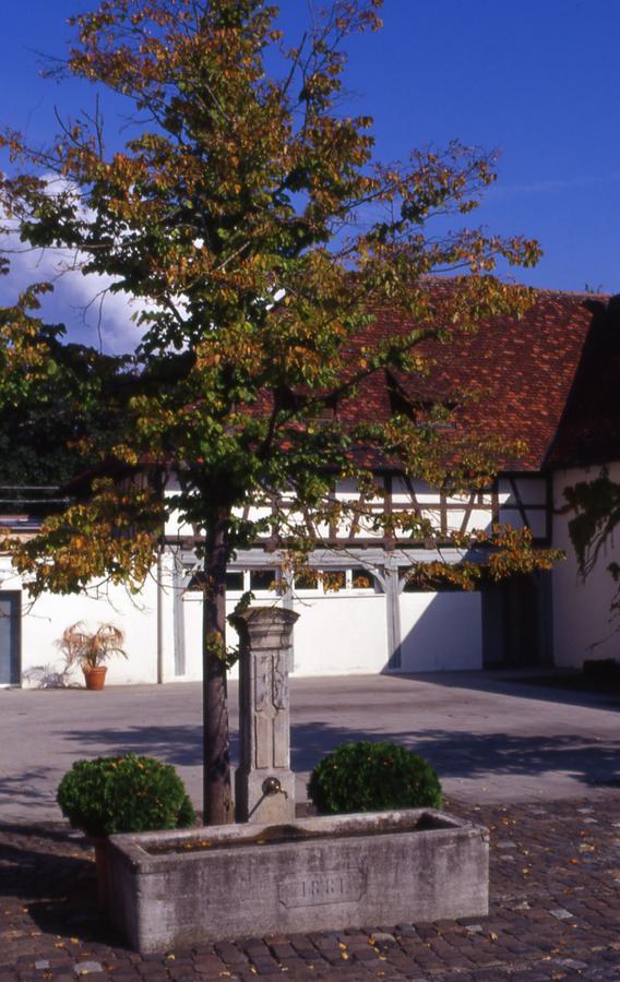 Hotel Markgraeflich Badischer Schwanen