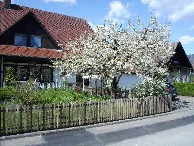 Gastehaus Deggelmann Gasthof Radolfzell am Bodensee