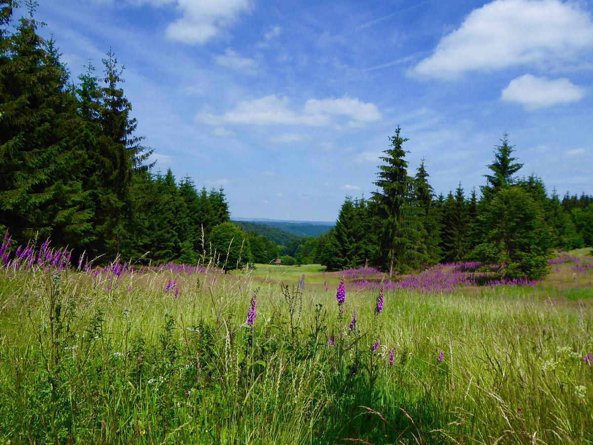 Natururlaub Frankenau