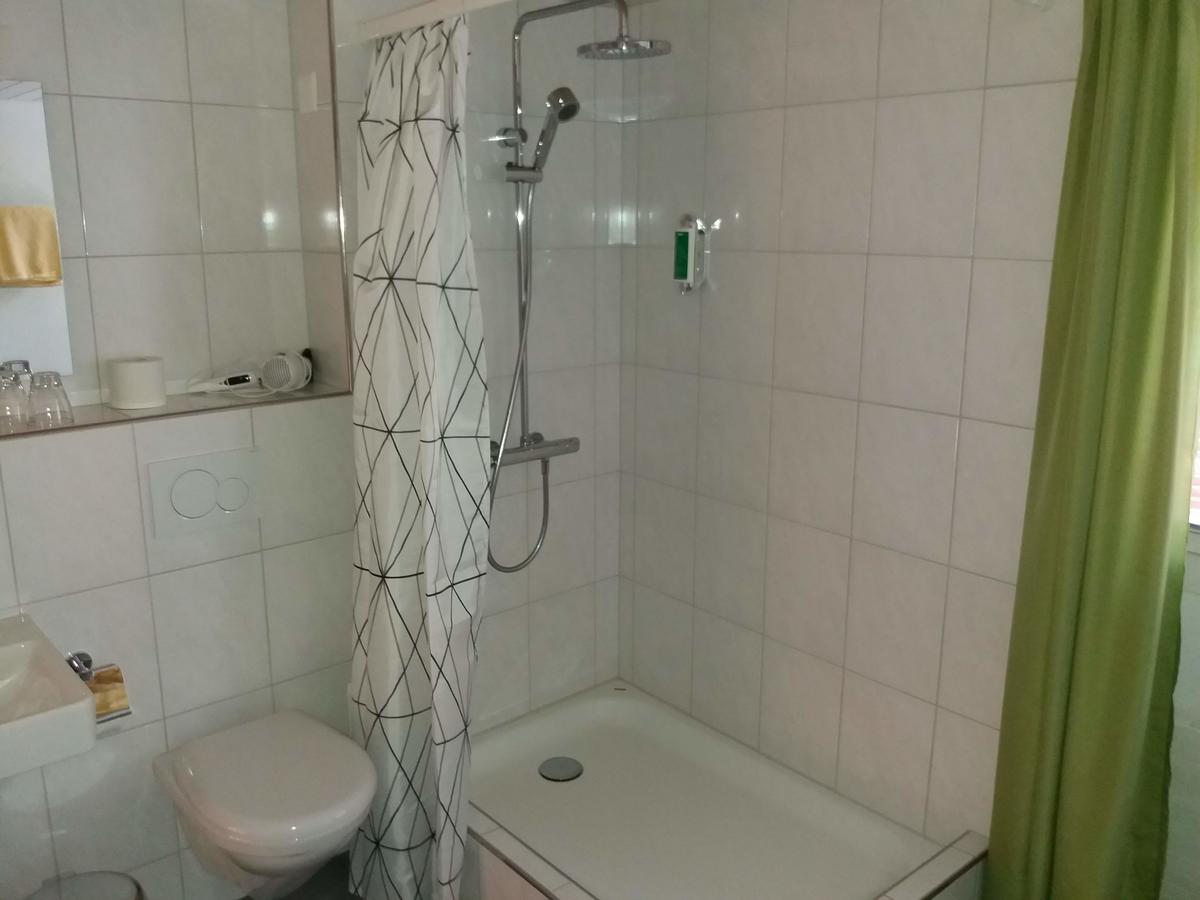 Guest house Hotel Garni Frohsinn Uttwil