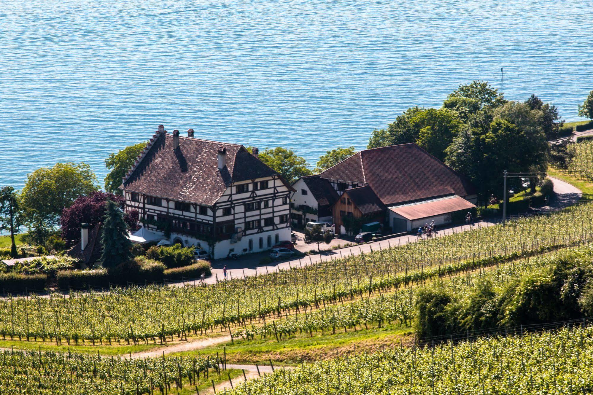 Hotel Bodenseehotel Renn