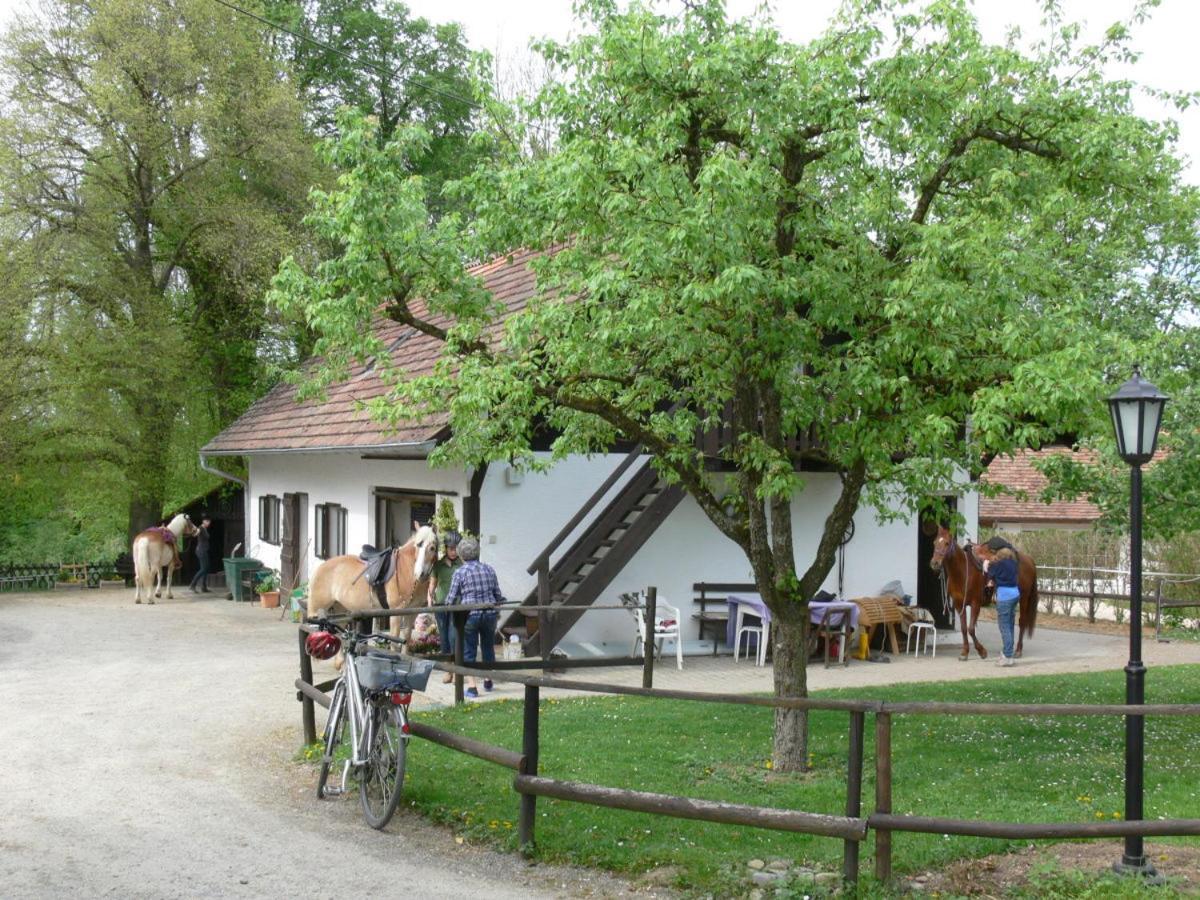 Birkenhof Trepte Apartment