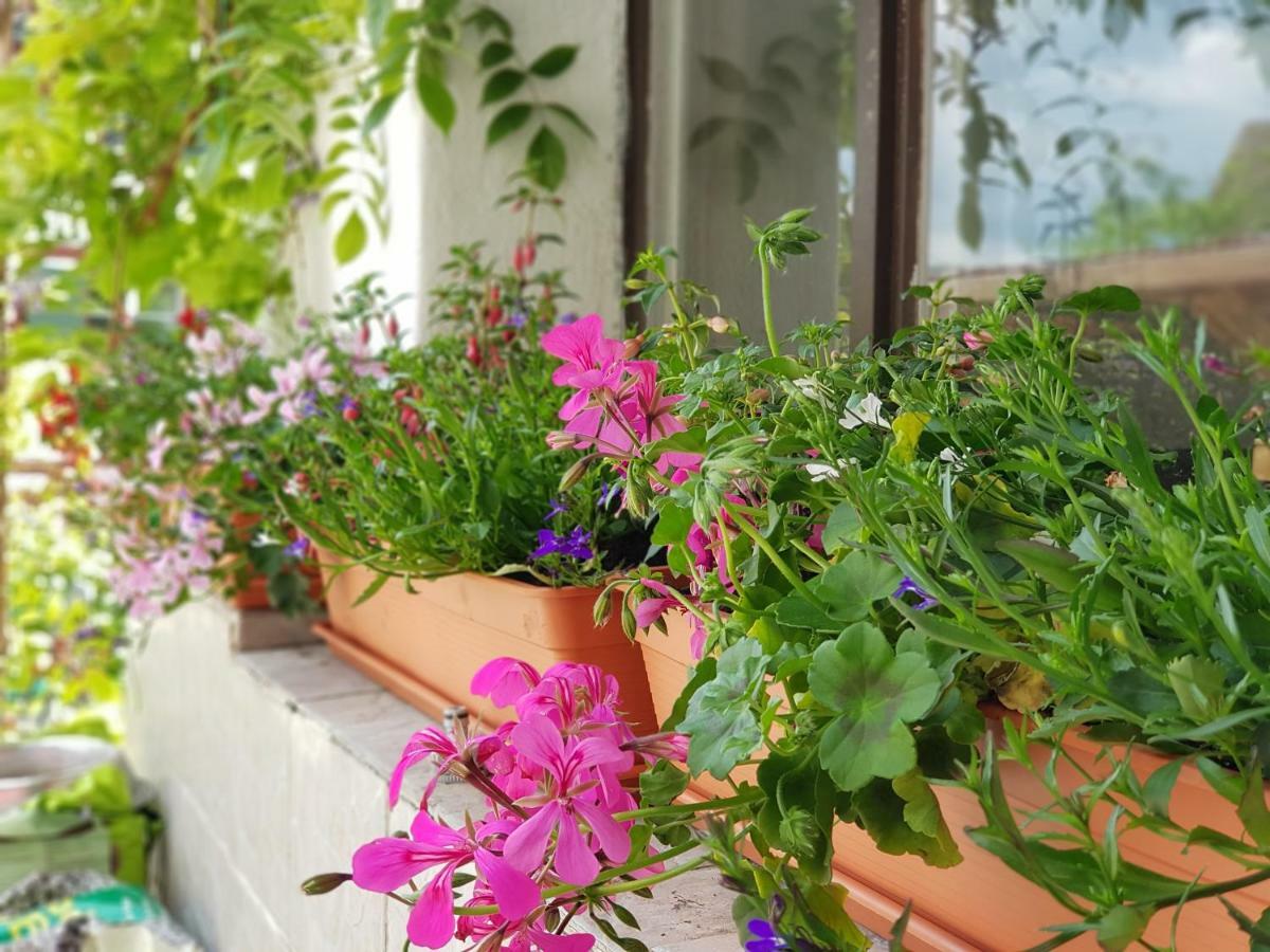 Garni-hotel Muehletal Bed & Breakfast *
