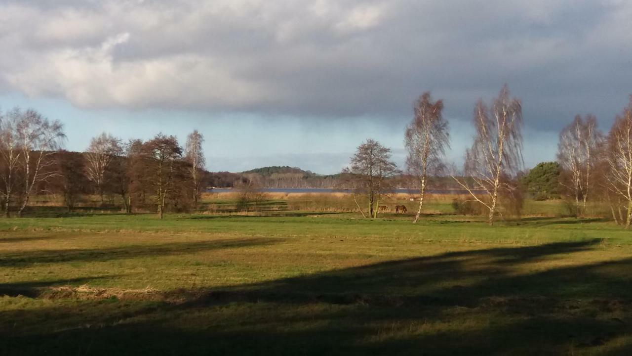 Ferienhaus Am Muehlenberg * Benz (Usedom)