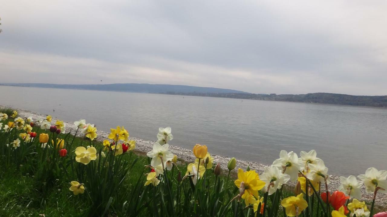 Apartment Auszeit Am Bodensee