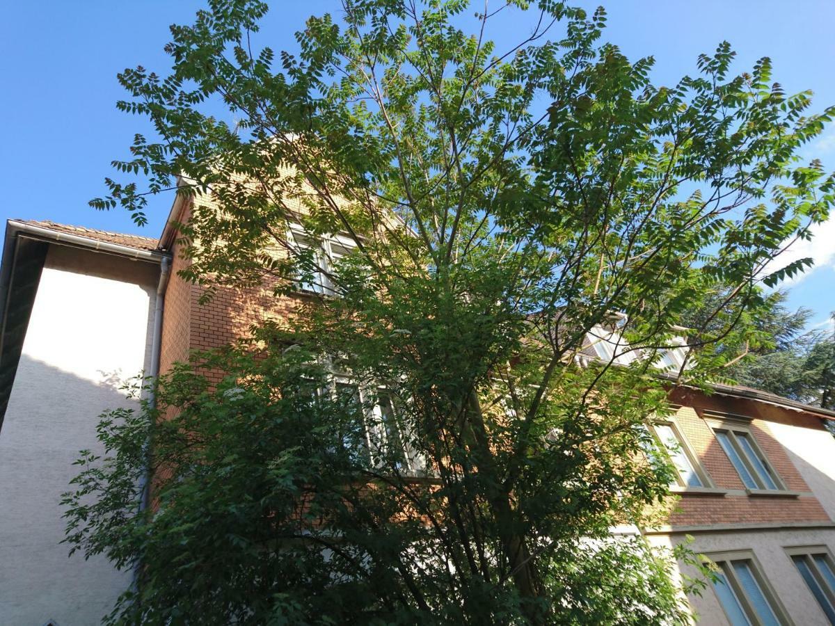 Nest - Not A Hotel, Private With Shared Showers, No Parking, Breakfast, Or Kitchen, Towels Available For A Fee, Check-in 4 Pm To 11 Pm Konstanz