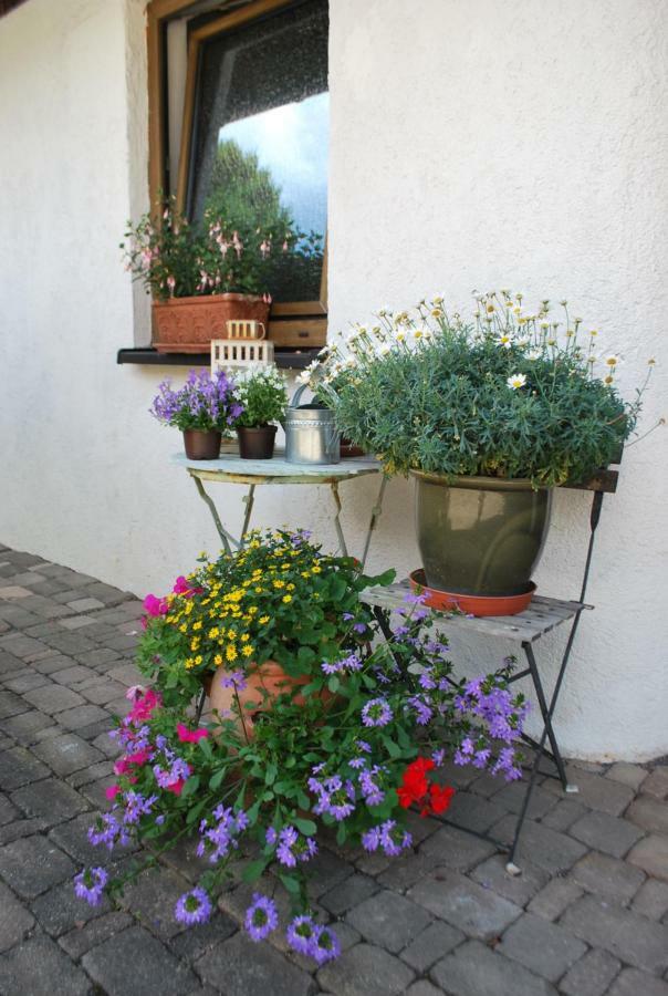 Homestay Cozy