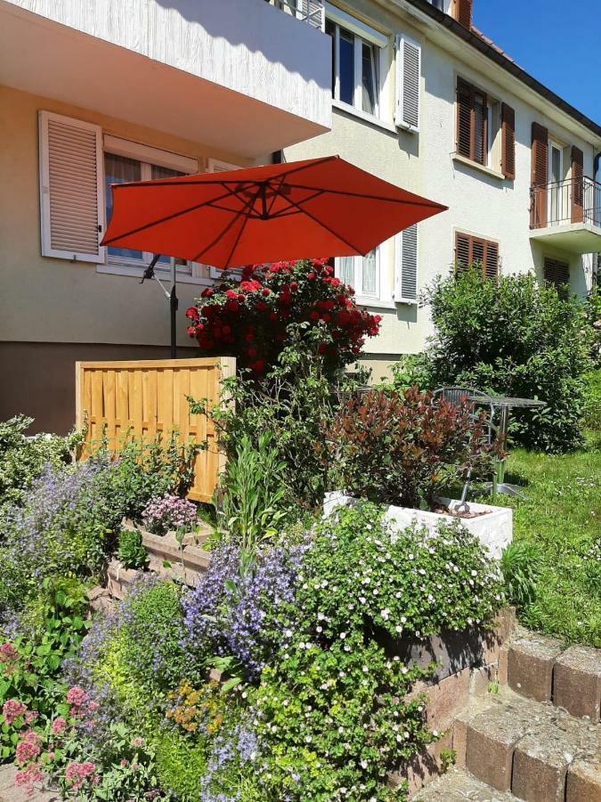 Bodensee 