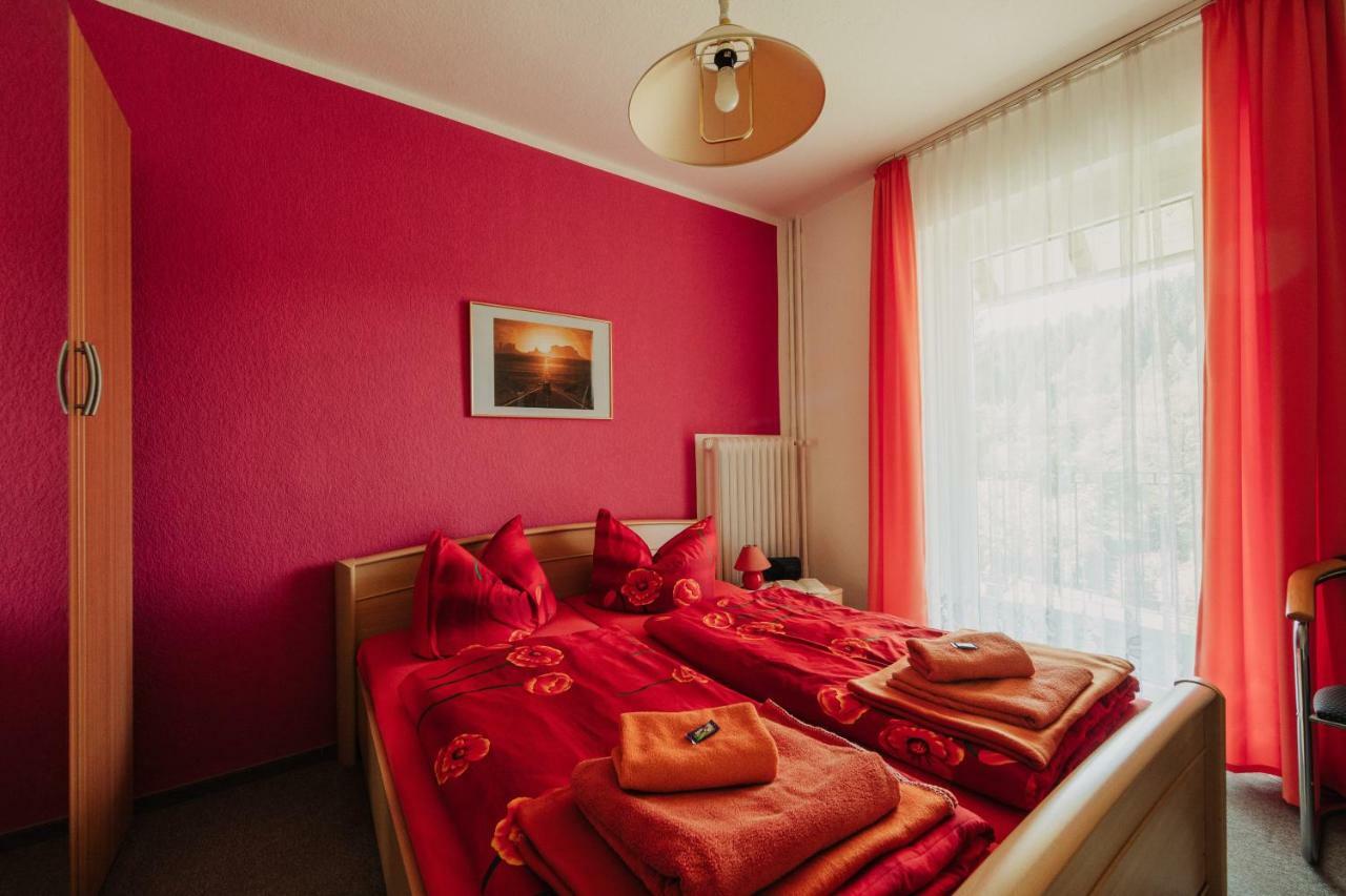 Haus Vogelsang 3* Wildemann