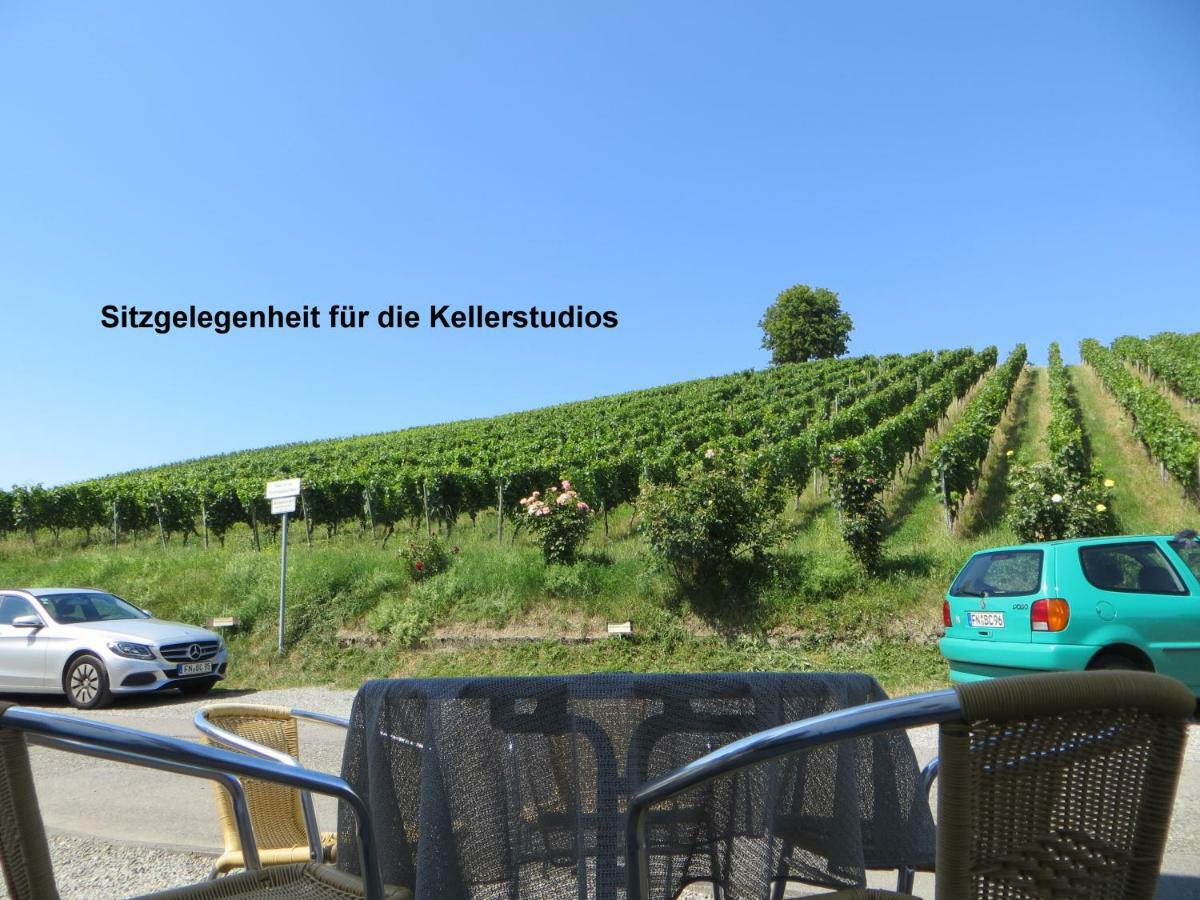 Gaestehaus Sommertal, Eigener Parkplatz, 800m Zum Bodensee, 300m Zur Altstadt Guest house