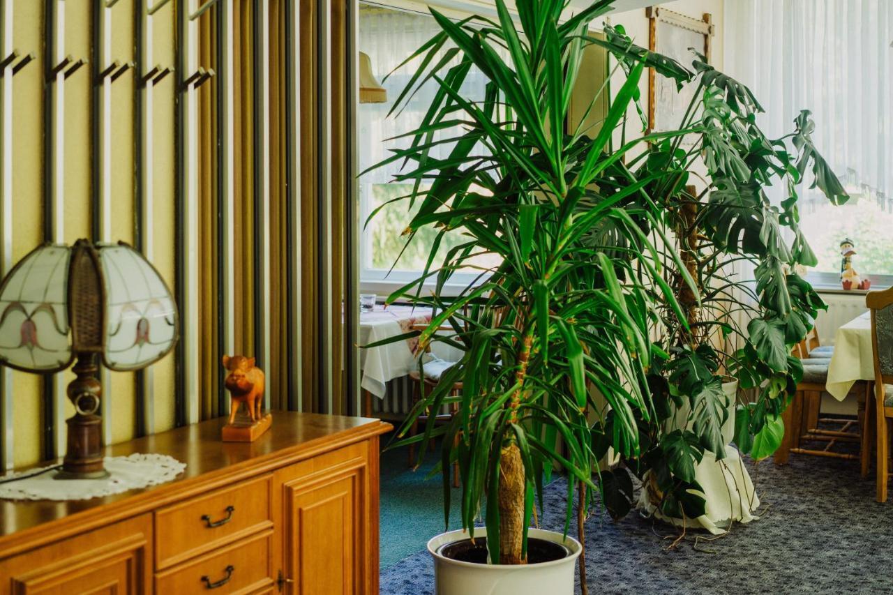 Haus Vogelsang 3* Wildemann