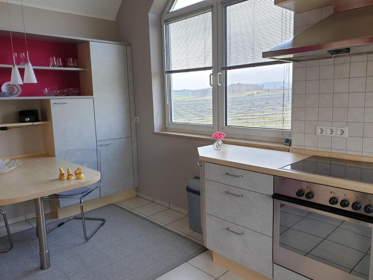 Apartment Bodensee Luxus Ferienwohnung Claudia 6 Friedrichshafen